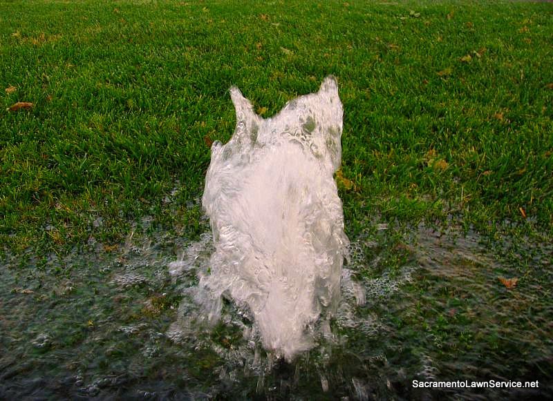 Broken Sprinkler Head Sacramento Sprinkler Repair Sacramento Lawn Service