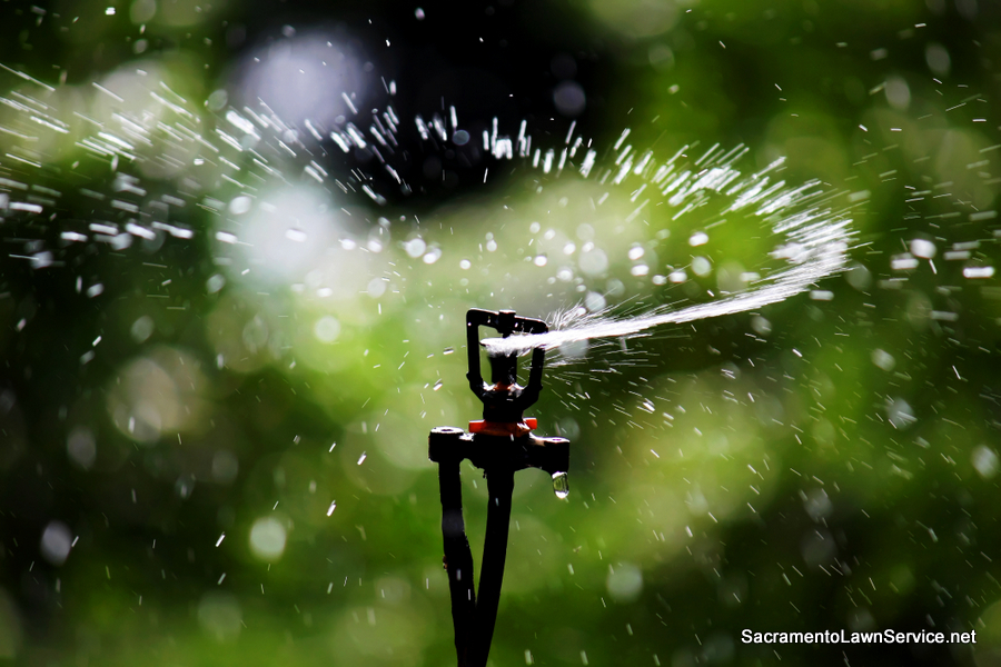 Sprinkler Repair Sacramento Irrigation Sprinkler head